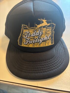 District Black Trucker Hat with Yellow Teddy Twilight Graphic